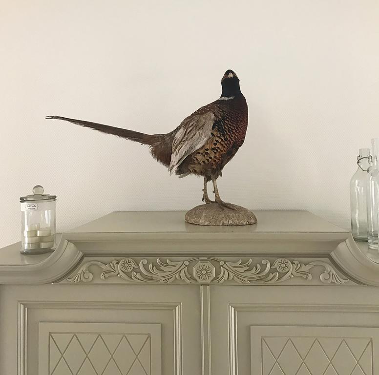 Vita Huset B&B Soelvesborg Εξωτερικό φωτογραφία